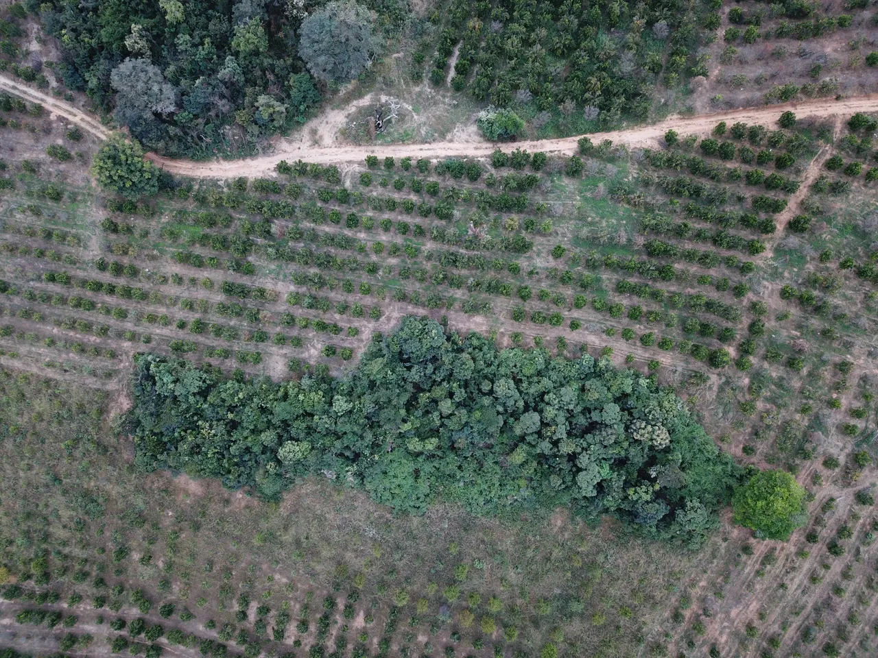 DJI_0055.jpg