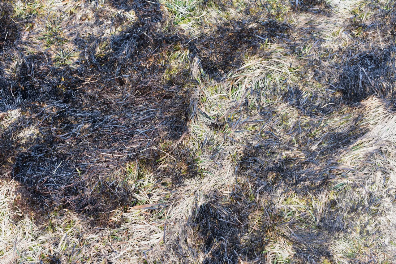 DSC_5016.jpg
