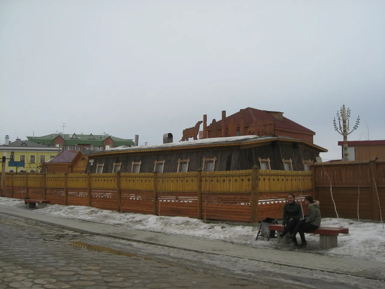 IMG_2626.jpg
