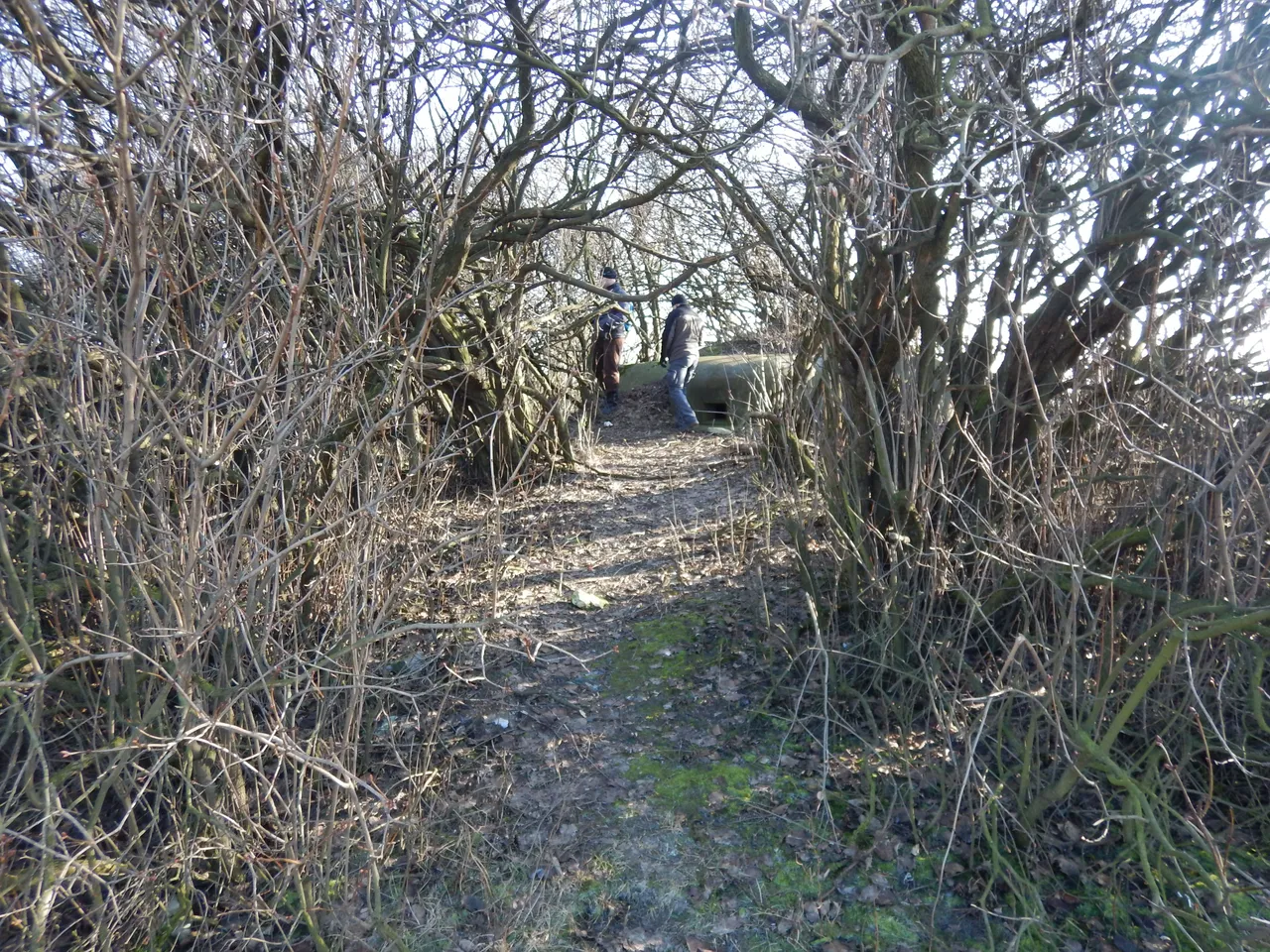 DSCN1876.JPG