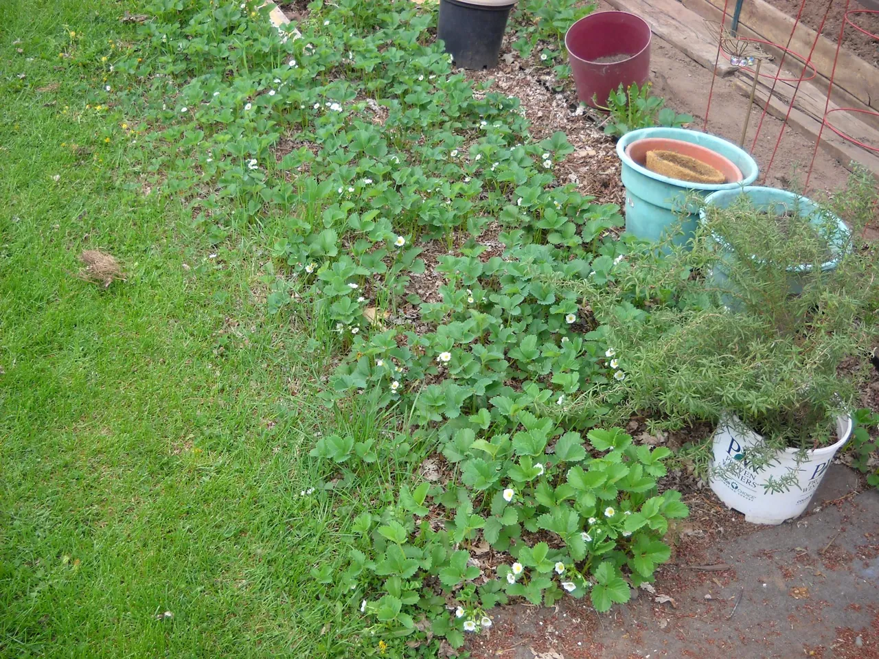 DSCN8927.JPG