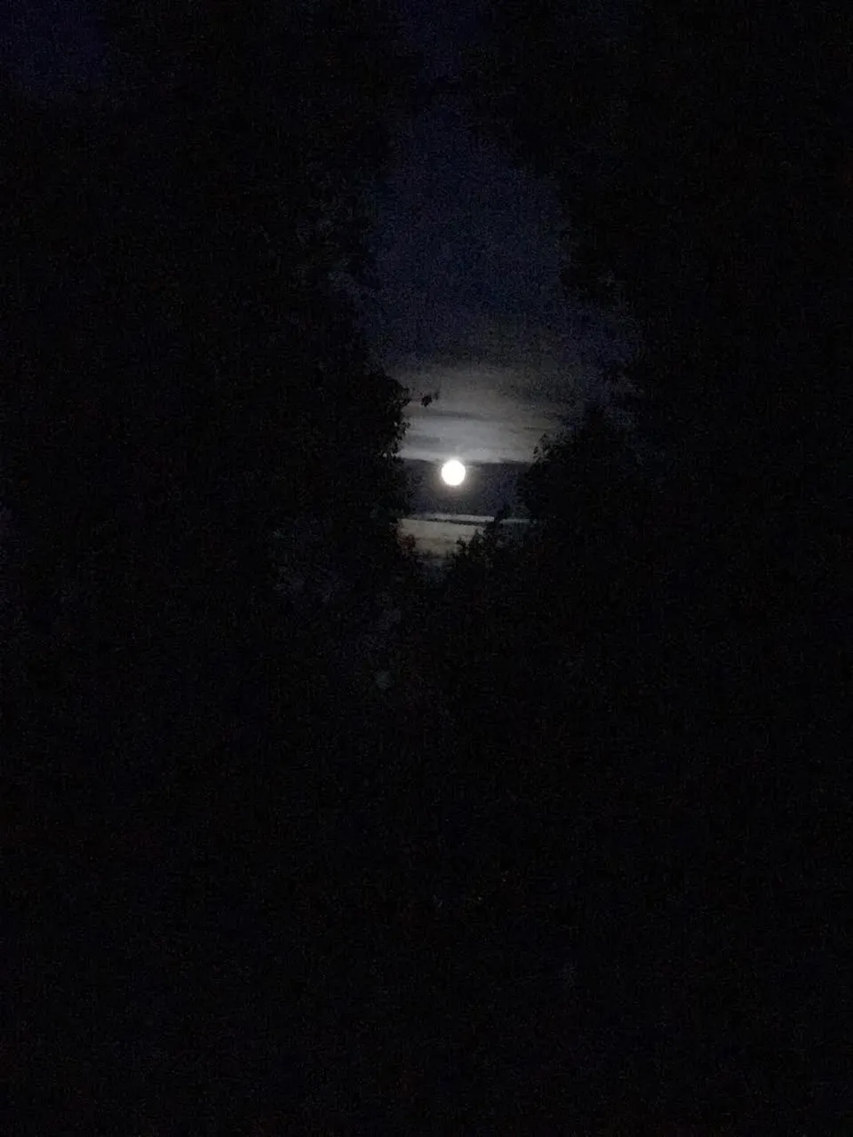 fullmoon.jpg