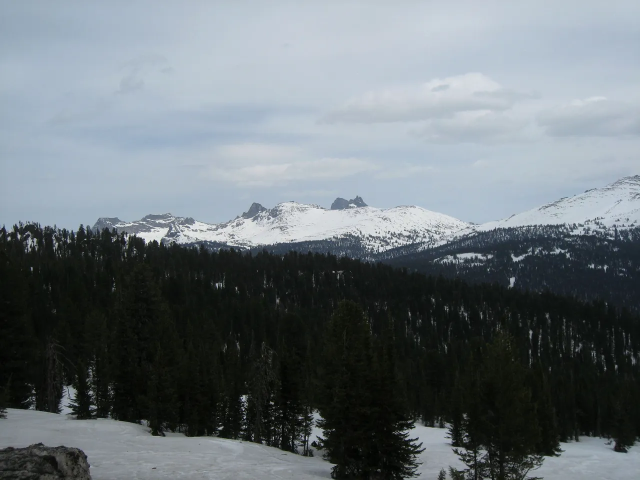 IMG_3291.JPG
