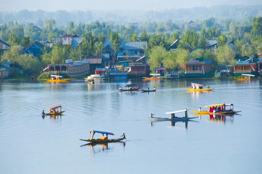 kashmir3.jpg