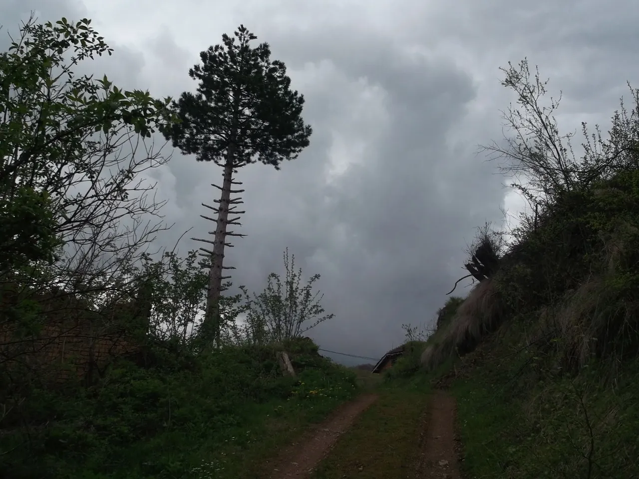 DSCF6531.JPG