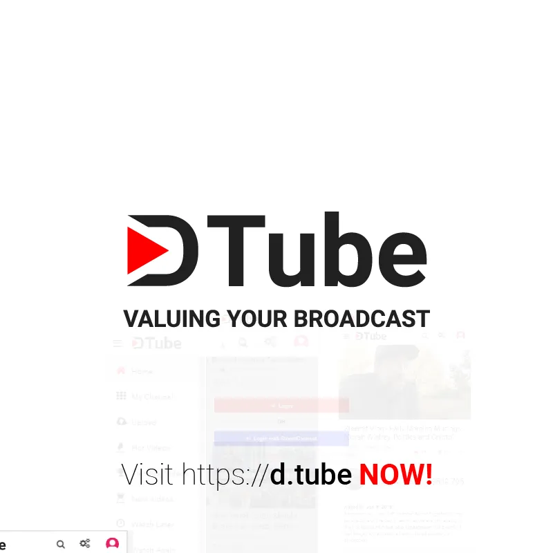 dtube-02.jpg