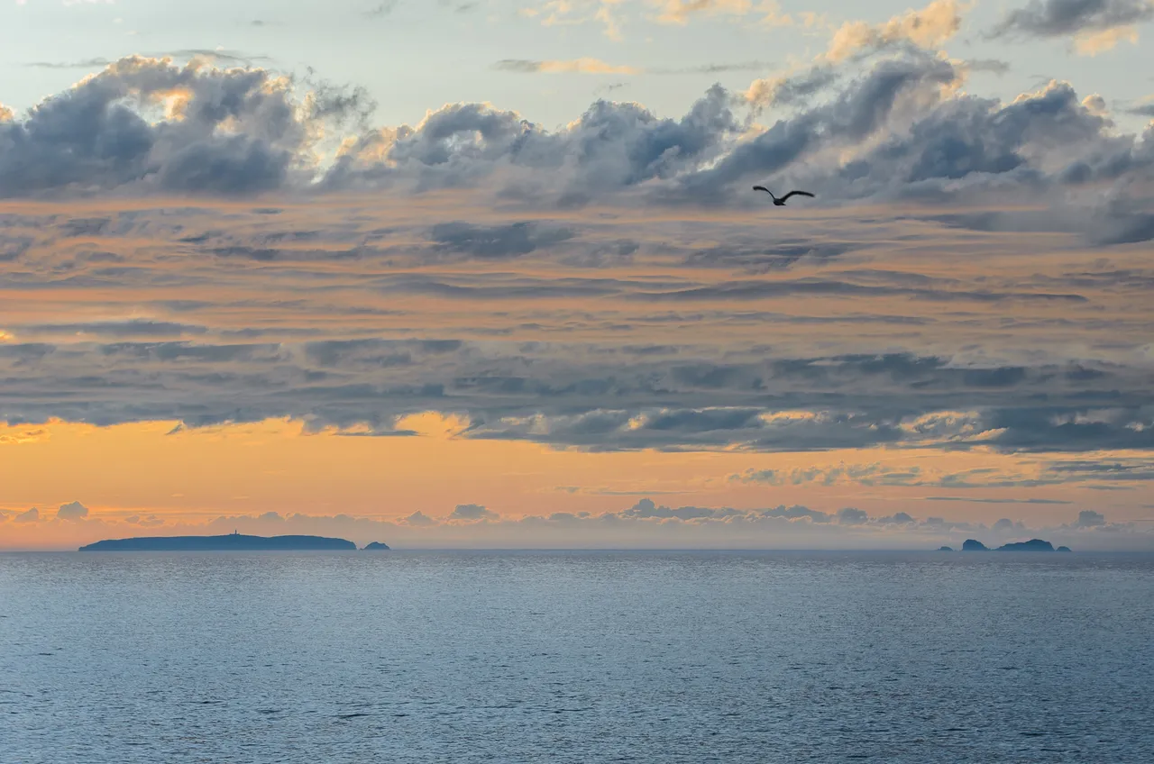 DSC_5623.jpg