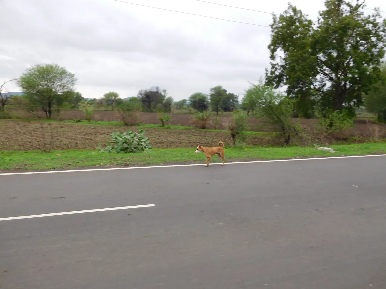 DSCN0288.JPG