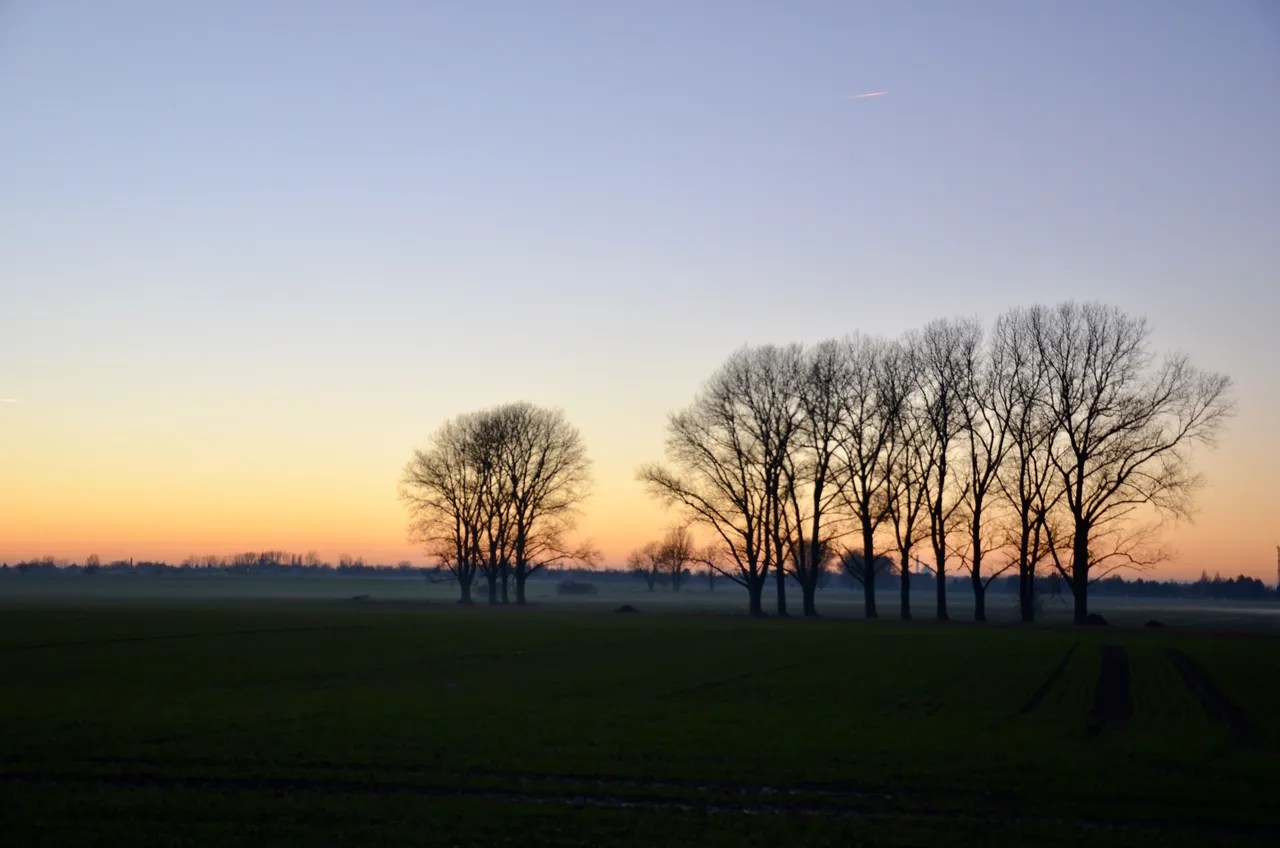DSC_2740.jpg