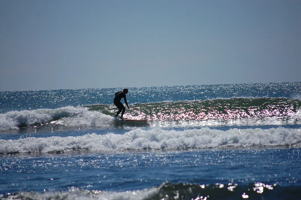 DSC_0350.JPG
