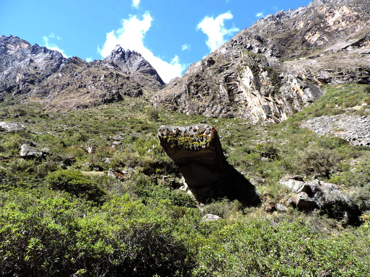 DSCN9189.jpg