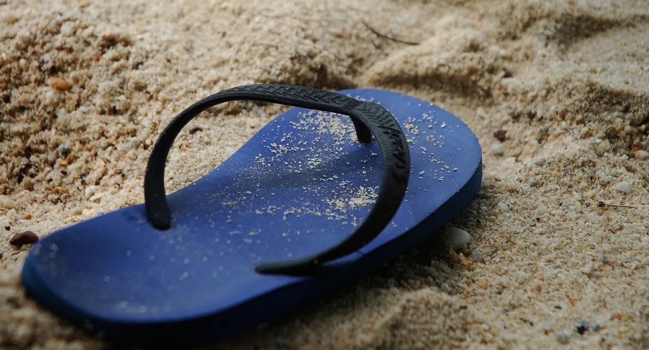 havaiana.jpg