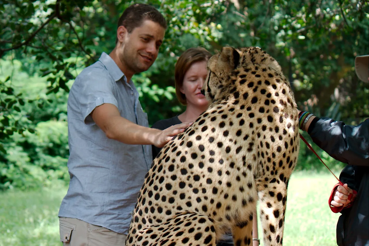 Cheetah Rehabilitation Center