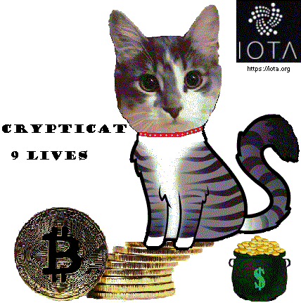 9lives-6.gif