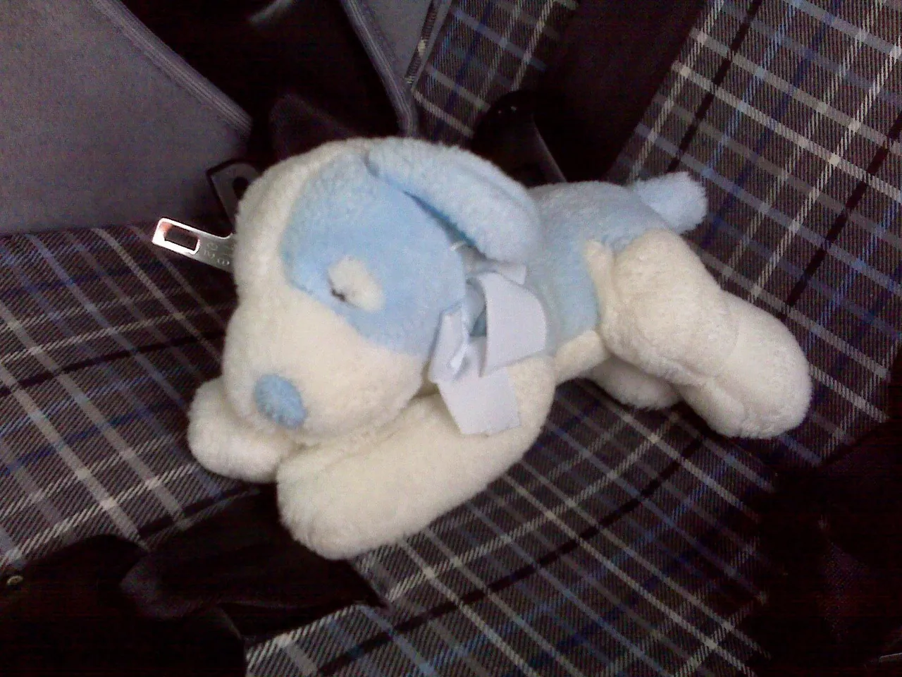 IMG00657.jpg