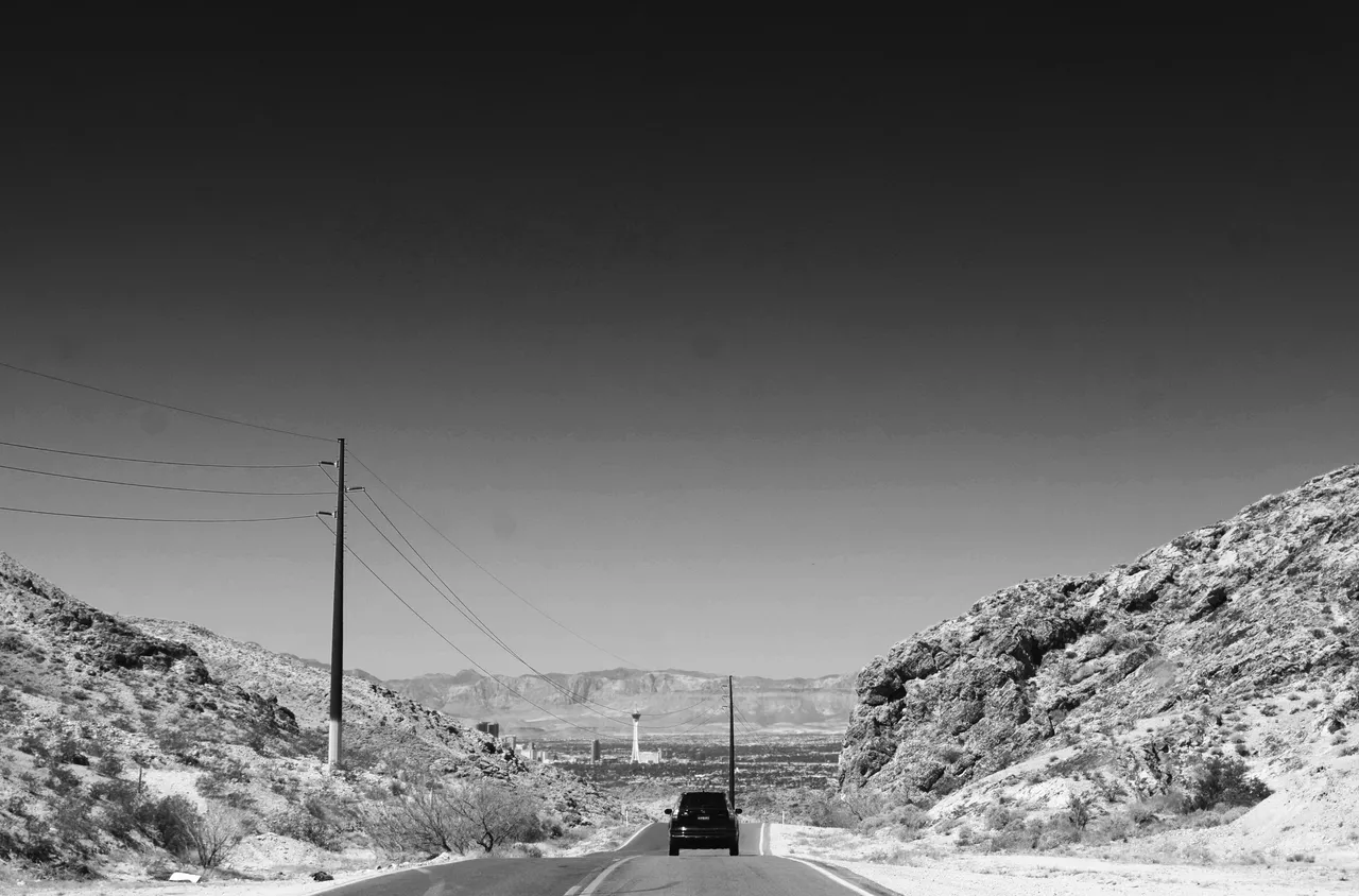 DSC_0335.jpg