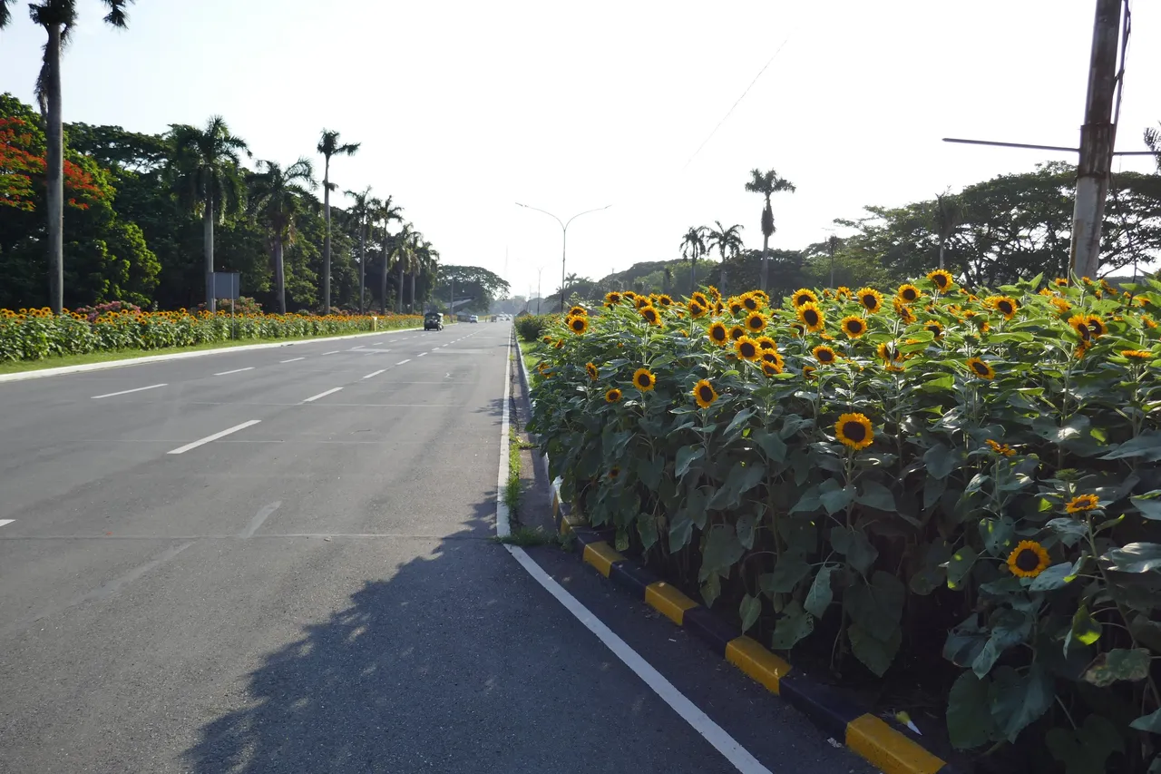 P1010064.JPG