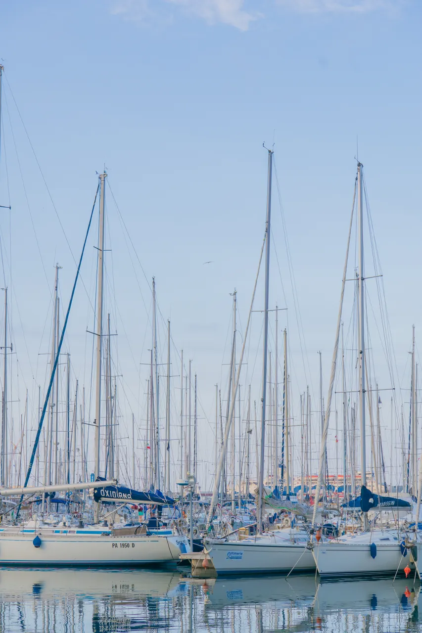 L1001014.jpg