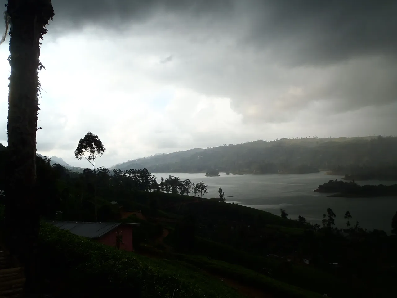 P1130247.JPG