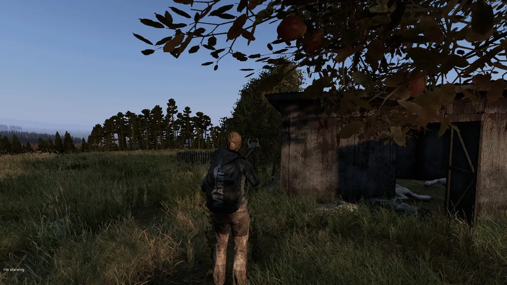 dayz 1.jpg