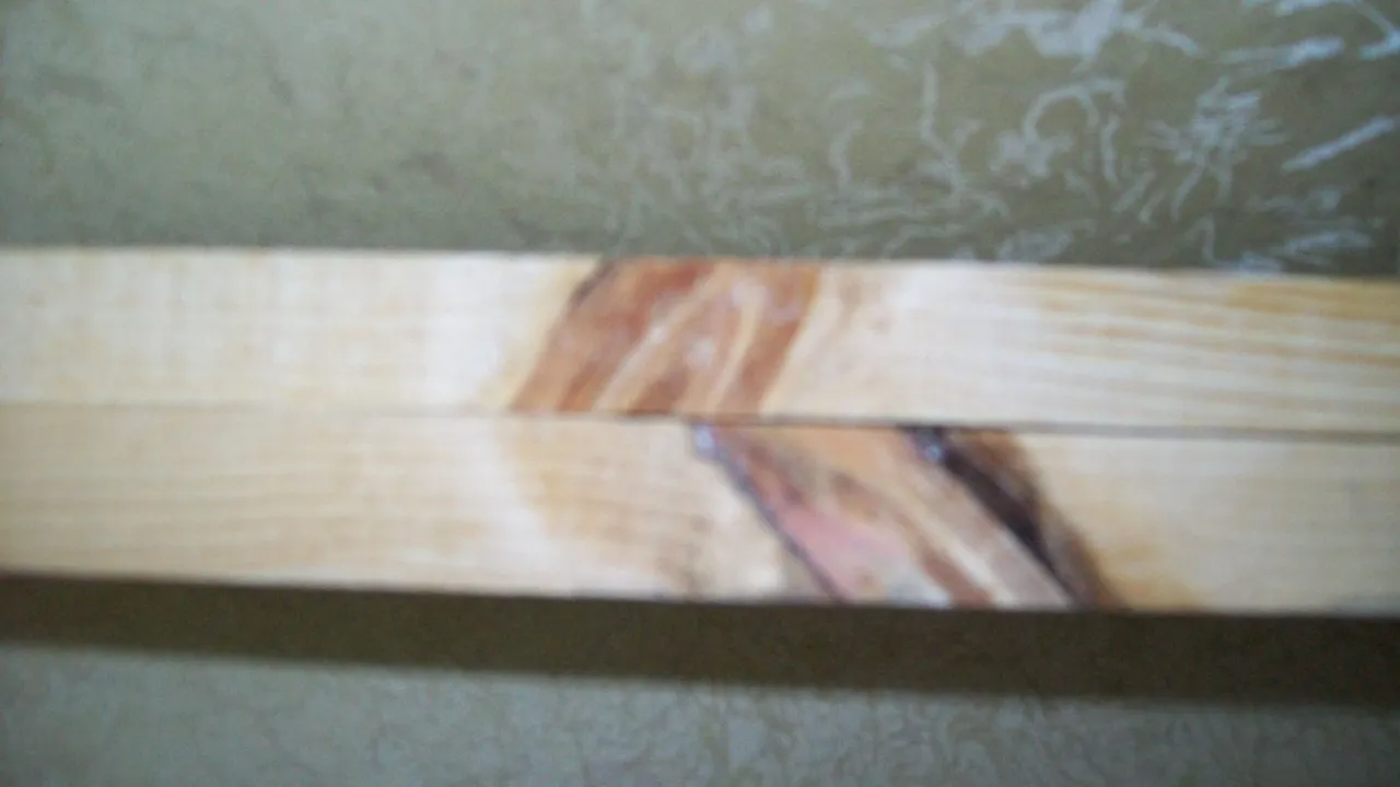 100_1745.JPG