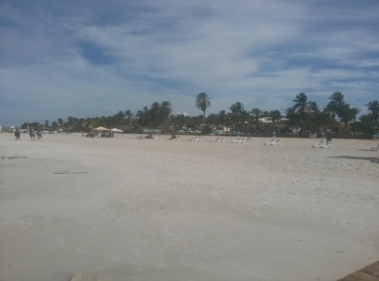 CAM00064.jpg