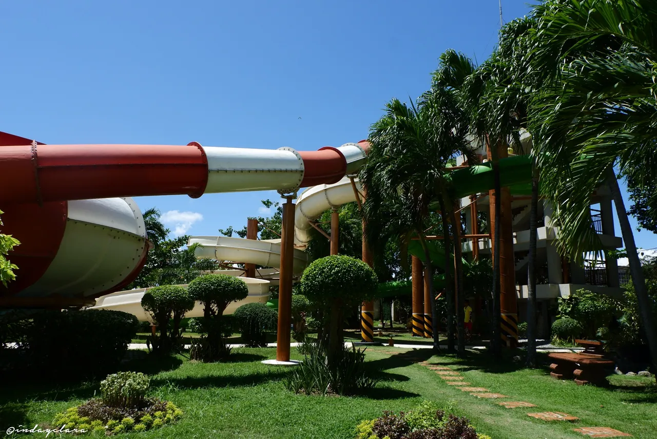 DSCF2175.JPG