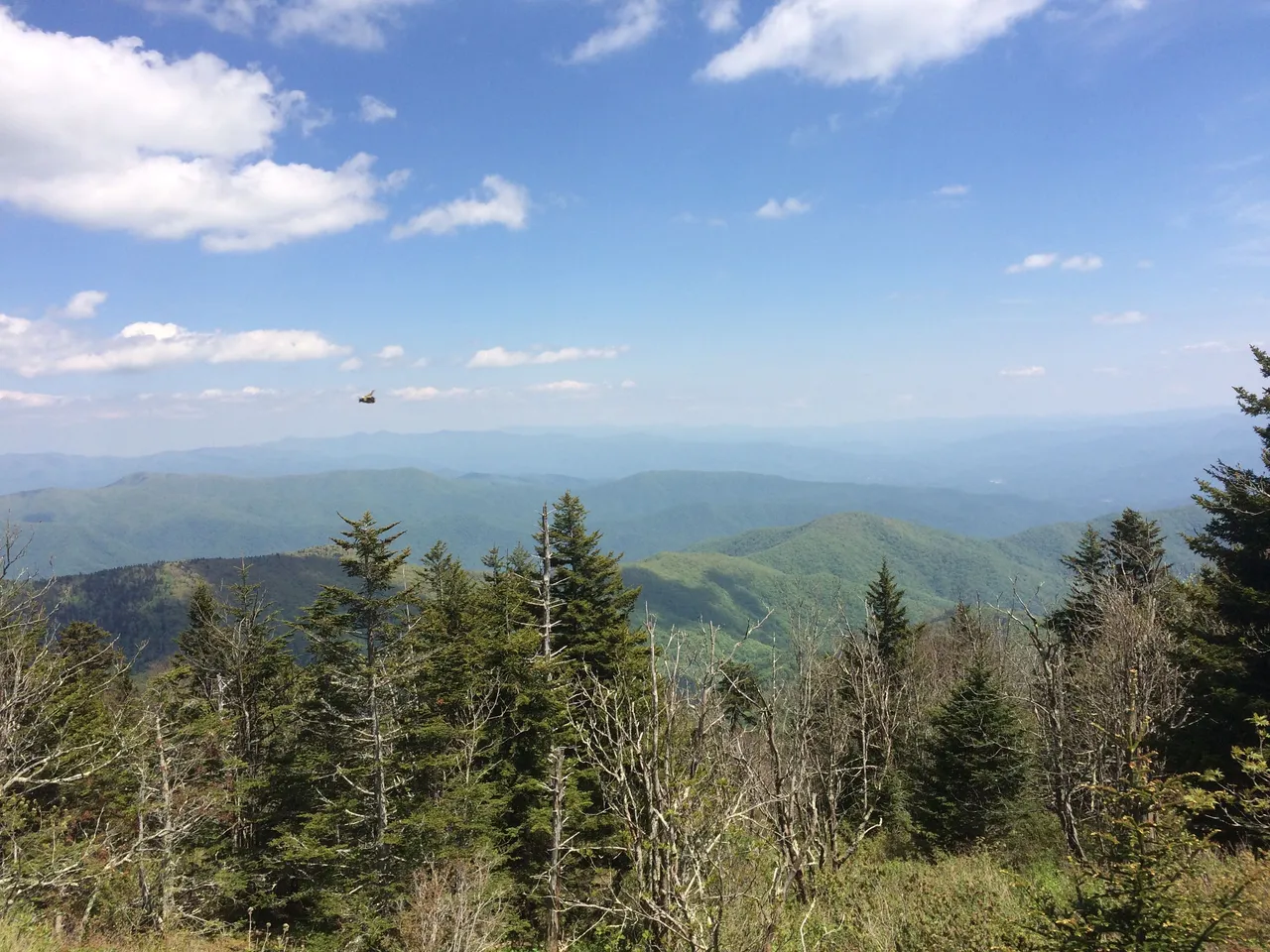 IMG_4139.JPG
