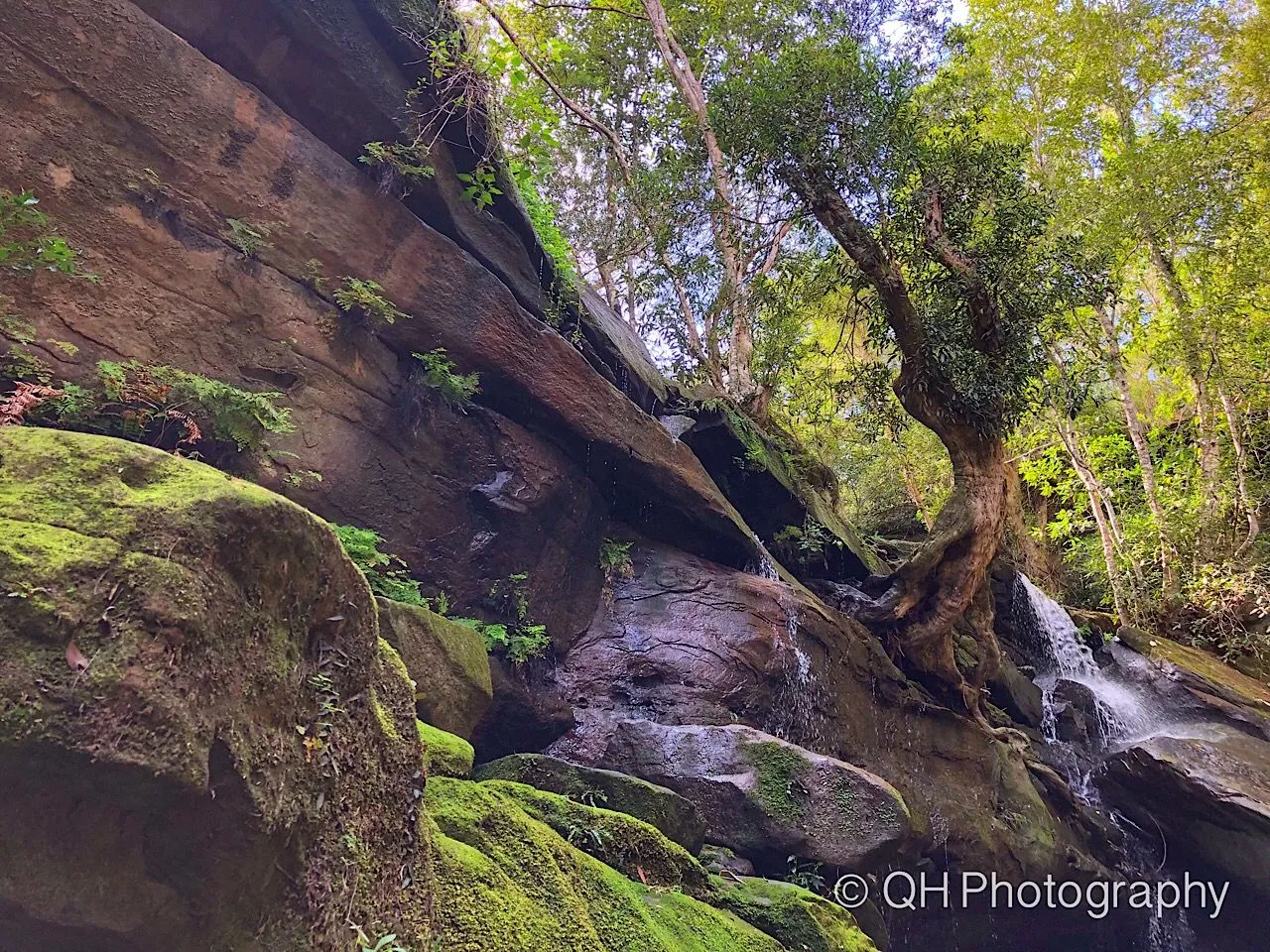 Somersby Falls, Brisbane Water National Park, NSW, Australia