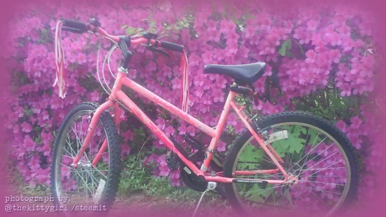 PinkBike.jpg