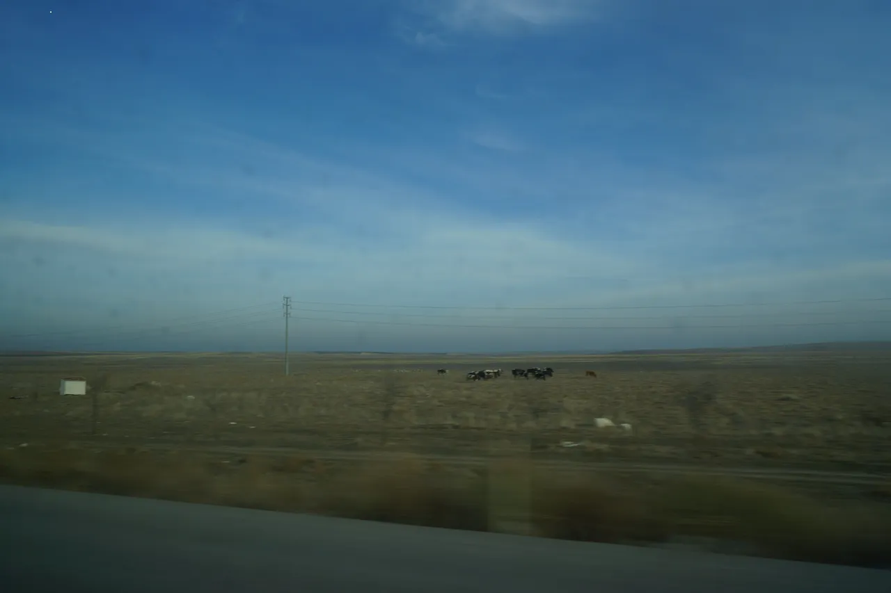 DSC00509.JPG