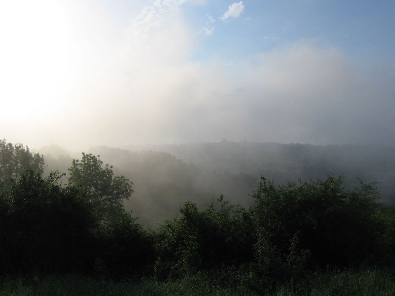 IMG_6954.JPG