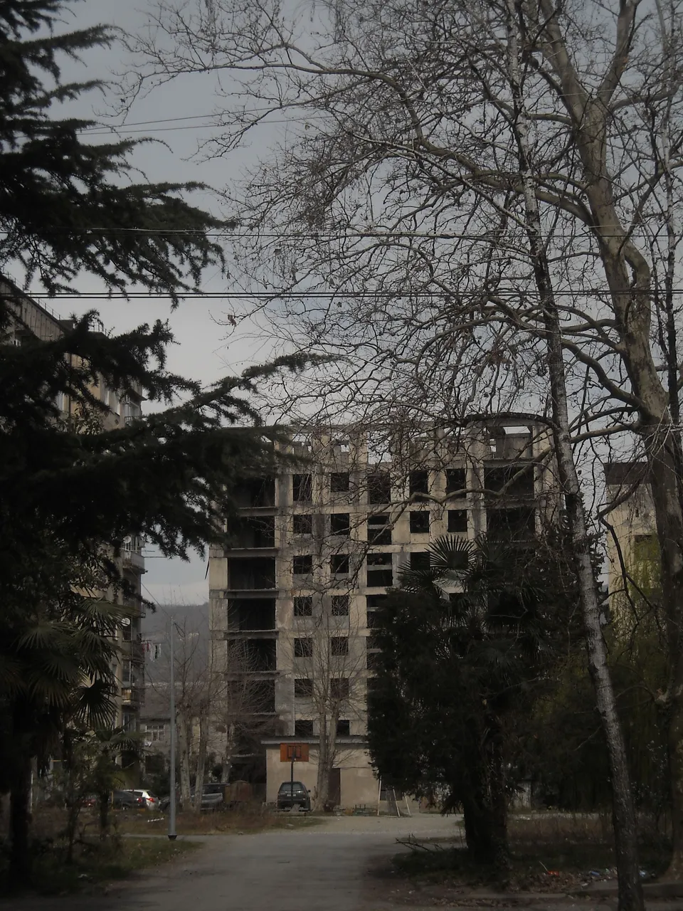 DSCN9971.JPG