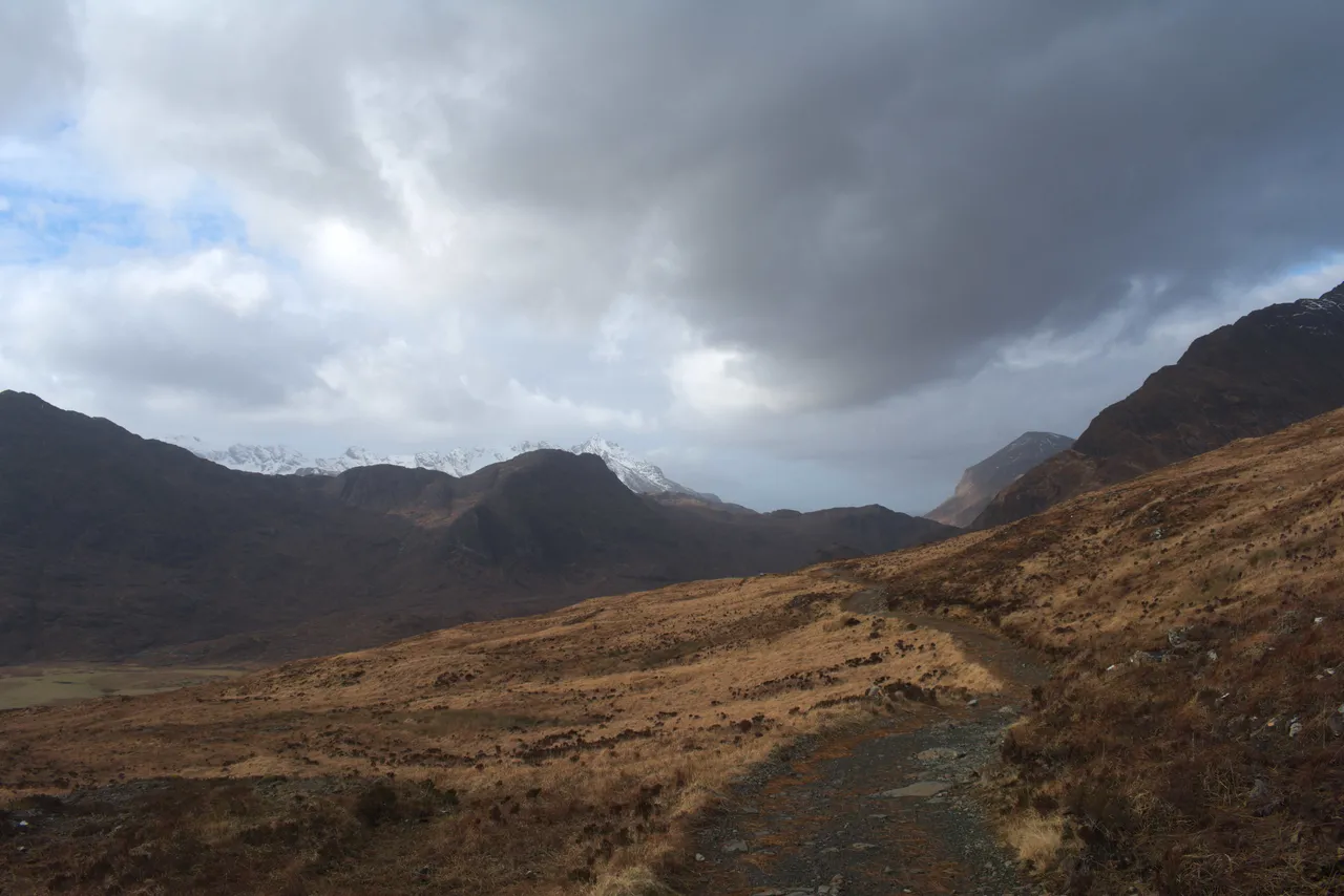 DSC_4844.jpg