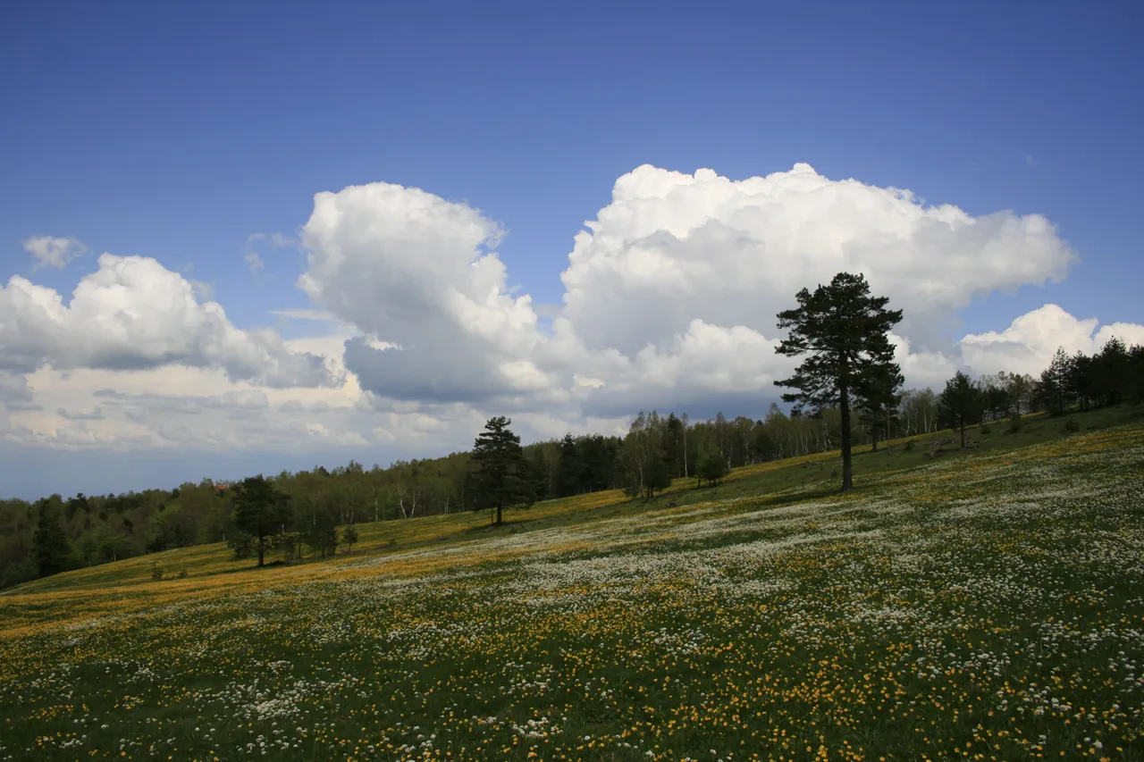 _MG_5437.JPG