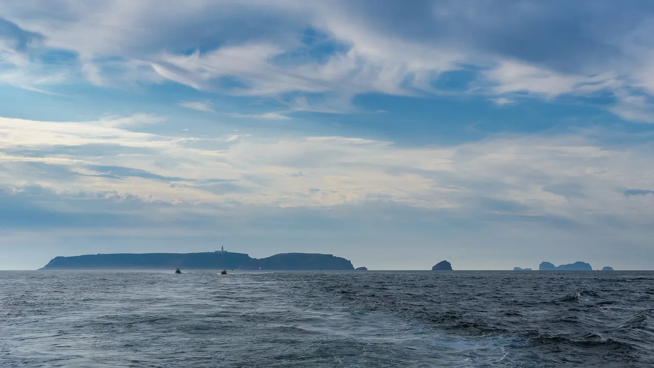 DSC_5237.jpg