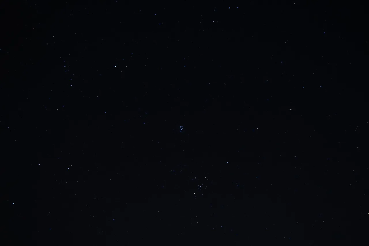 DSC02481.JPG