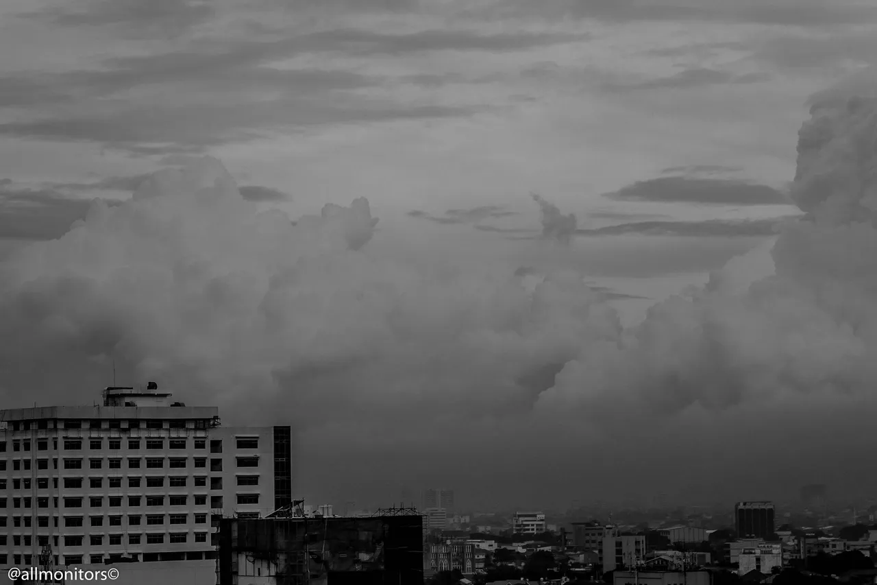 P1010423.jpg