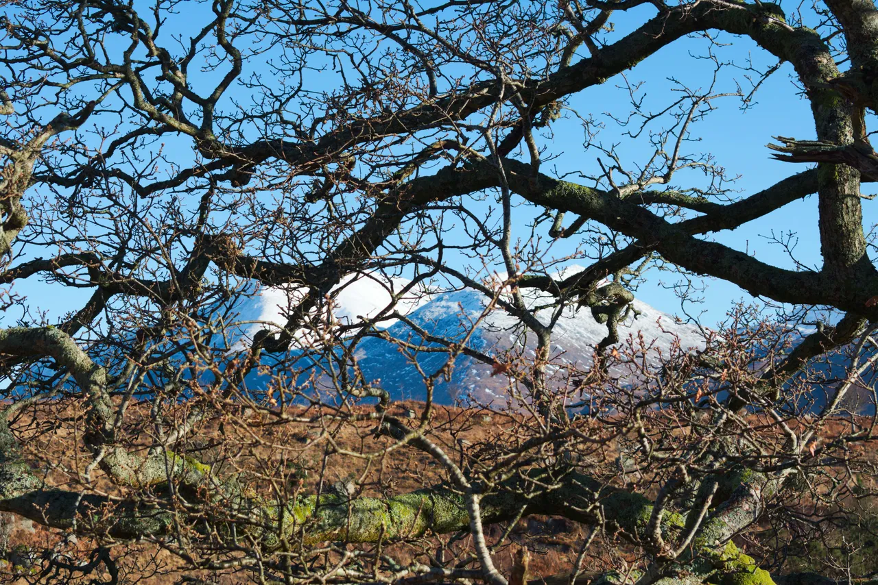 DSC_4671.jpg