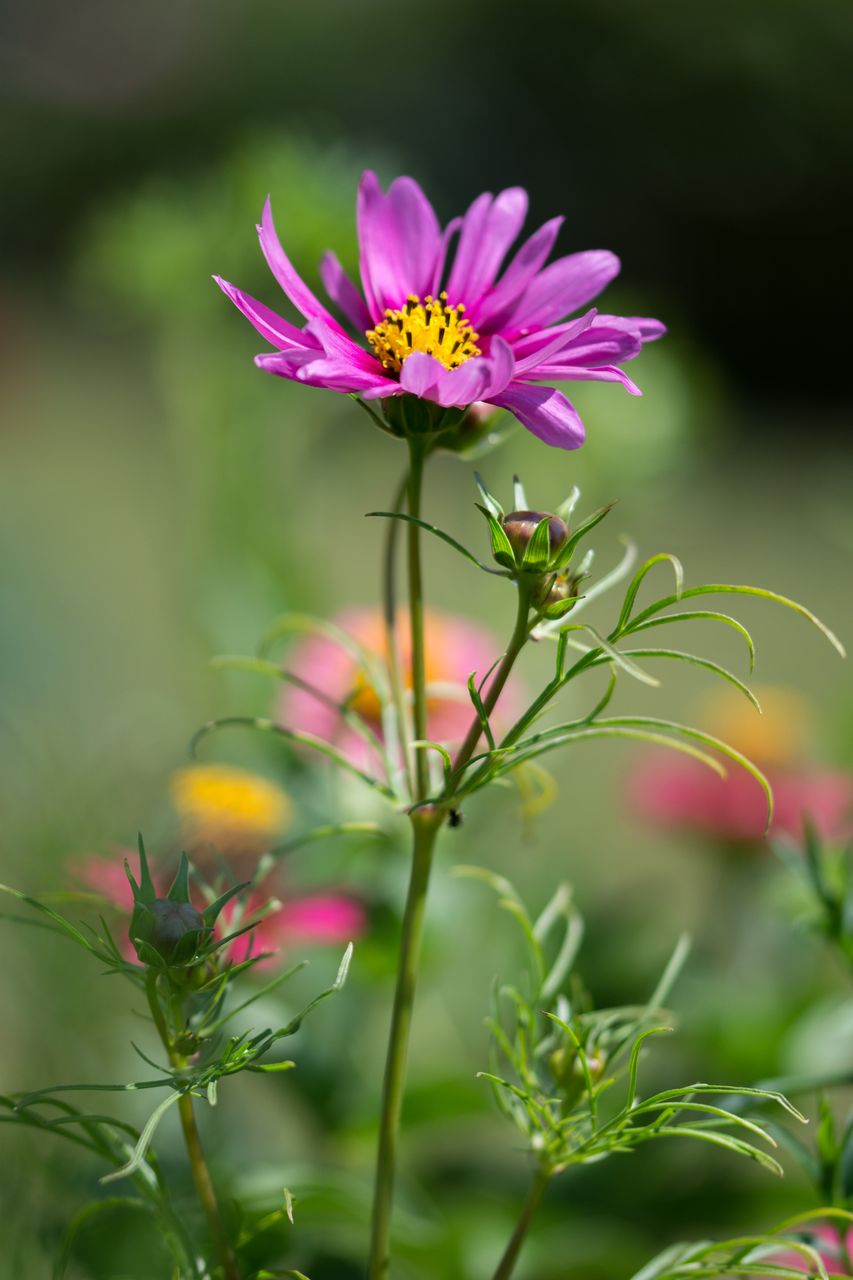 DSC_7695.jpg