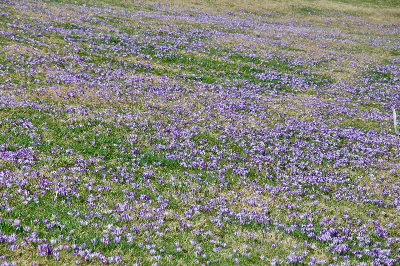 DSC_0826.jpg