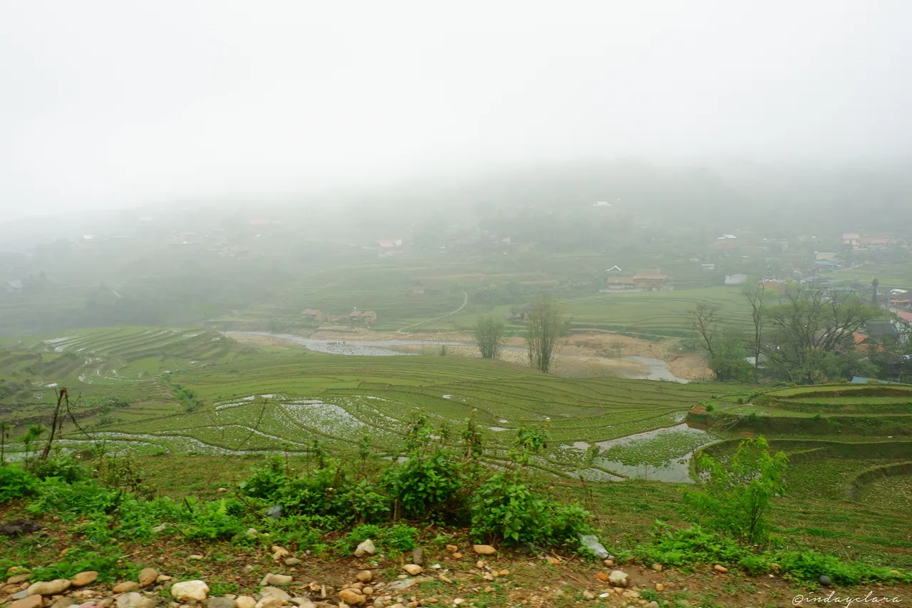 DSCF3309.JPG