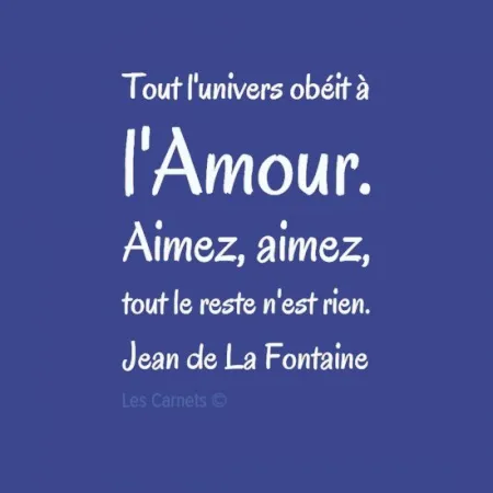 IMG_6676.PNG