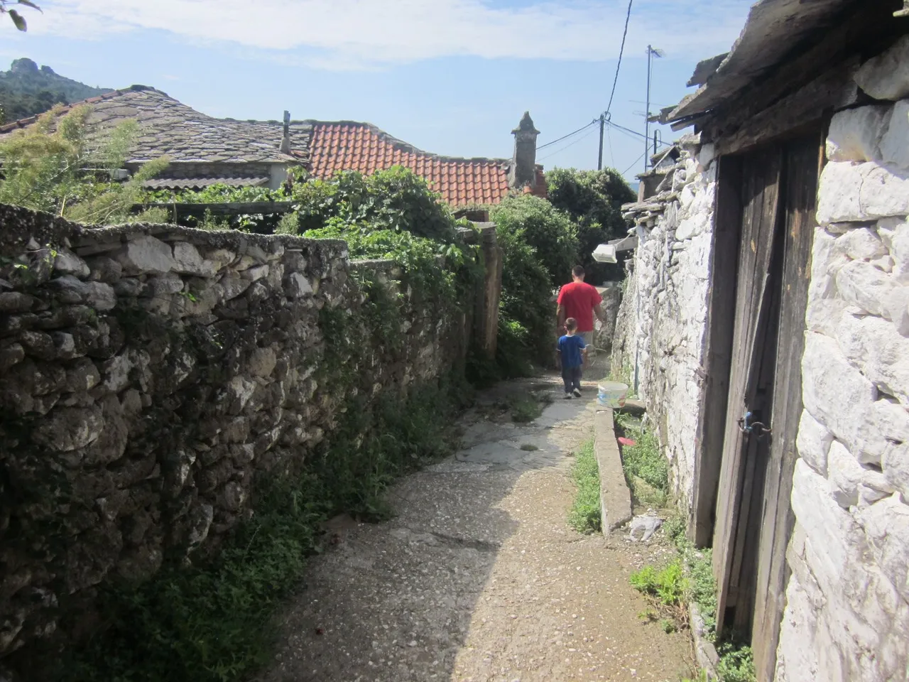 IMG_4489.JPG
