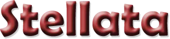 stellata.png