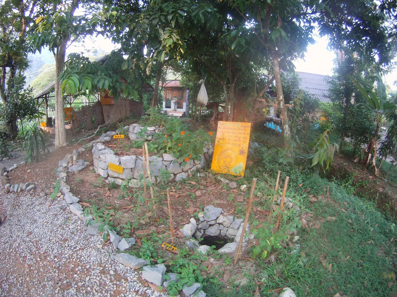 FILE0243.JPG