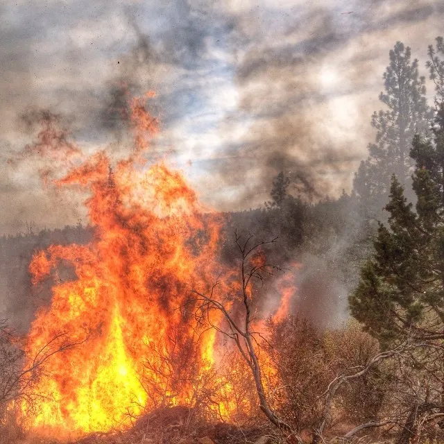 firestar.jpg