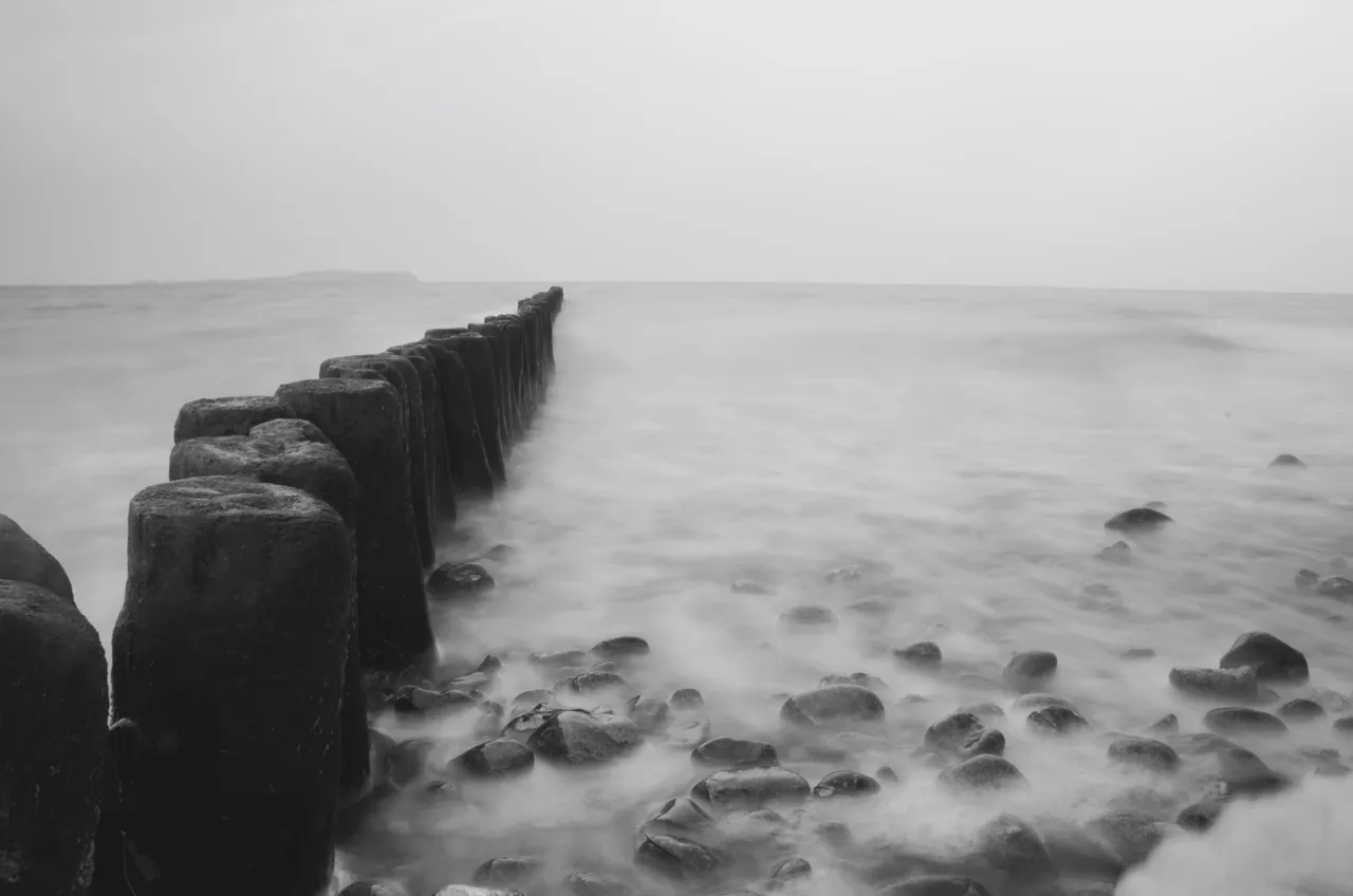 DSC_1657.jpg
