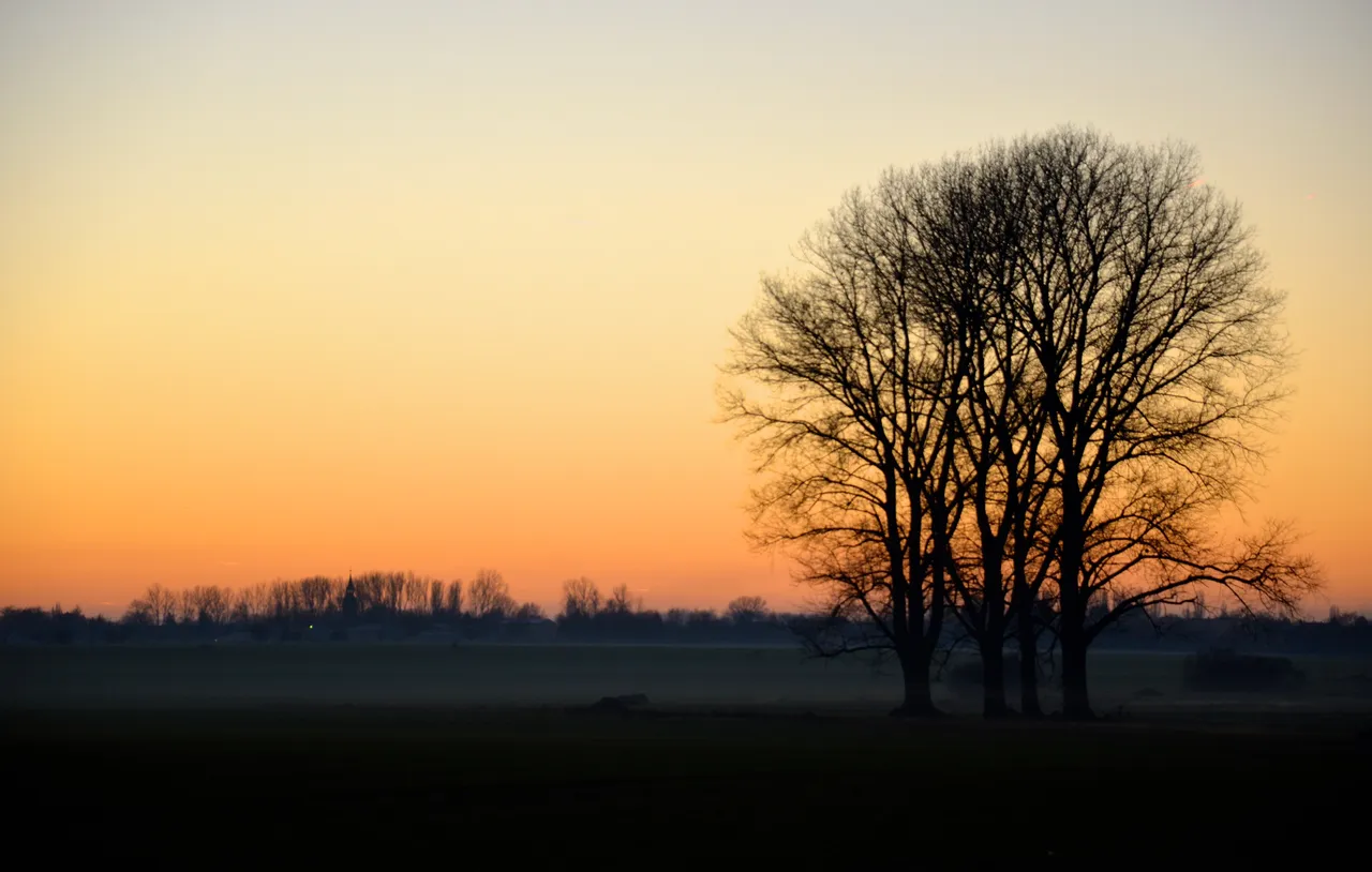 DSC_2747.jpg