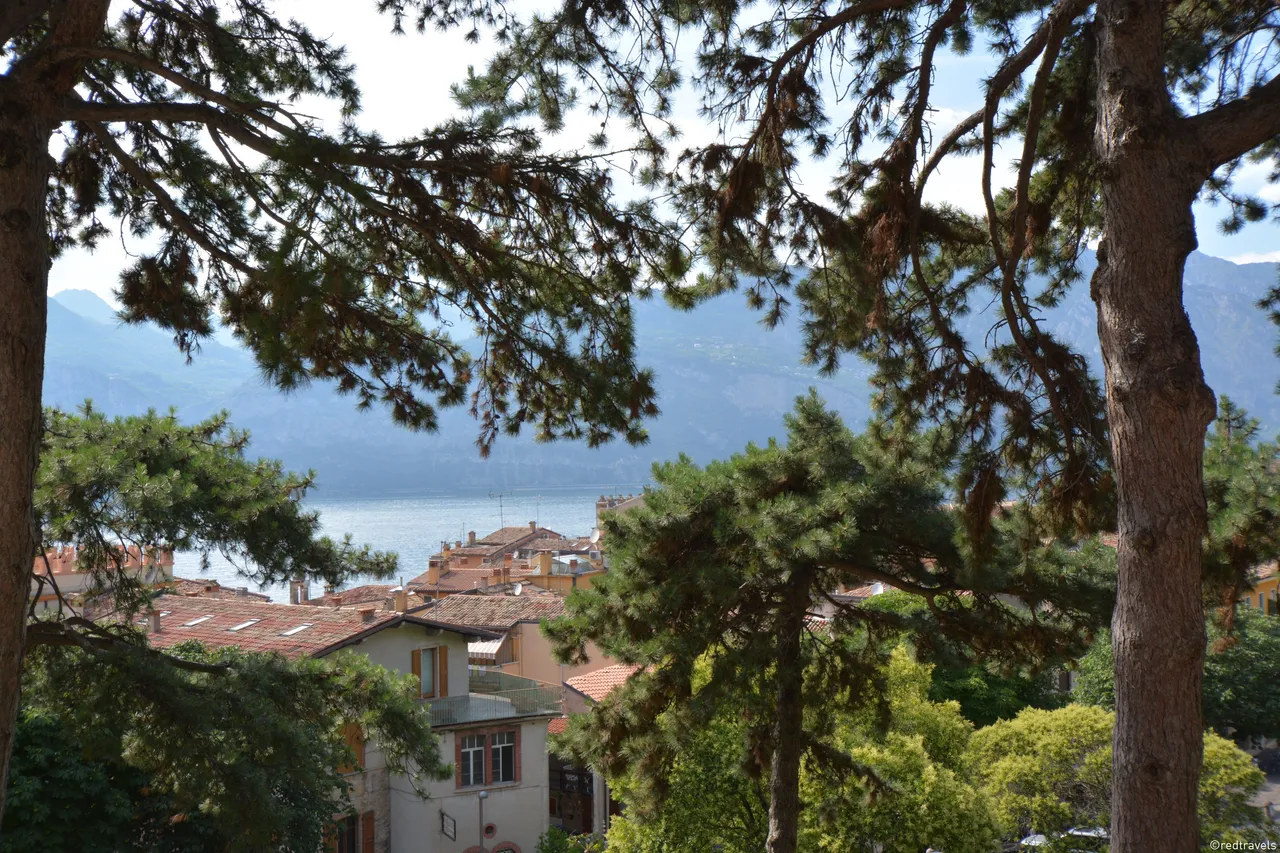 R71_9505.JPG